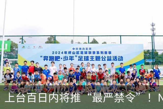 上台百日内将推“最严禁令”!NZ工党宣布大选新政!国家党曾支持,他们强烈反对!